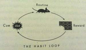 the-habit-loop